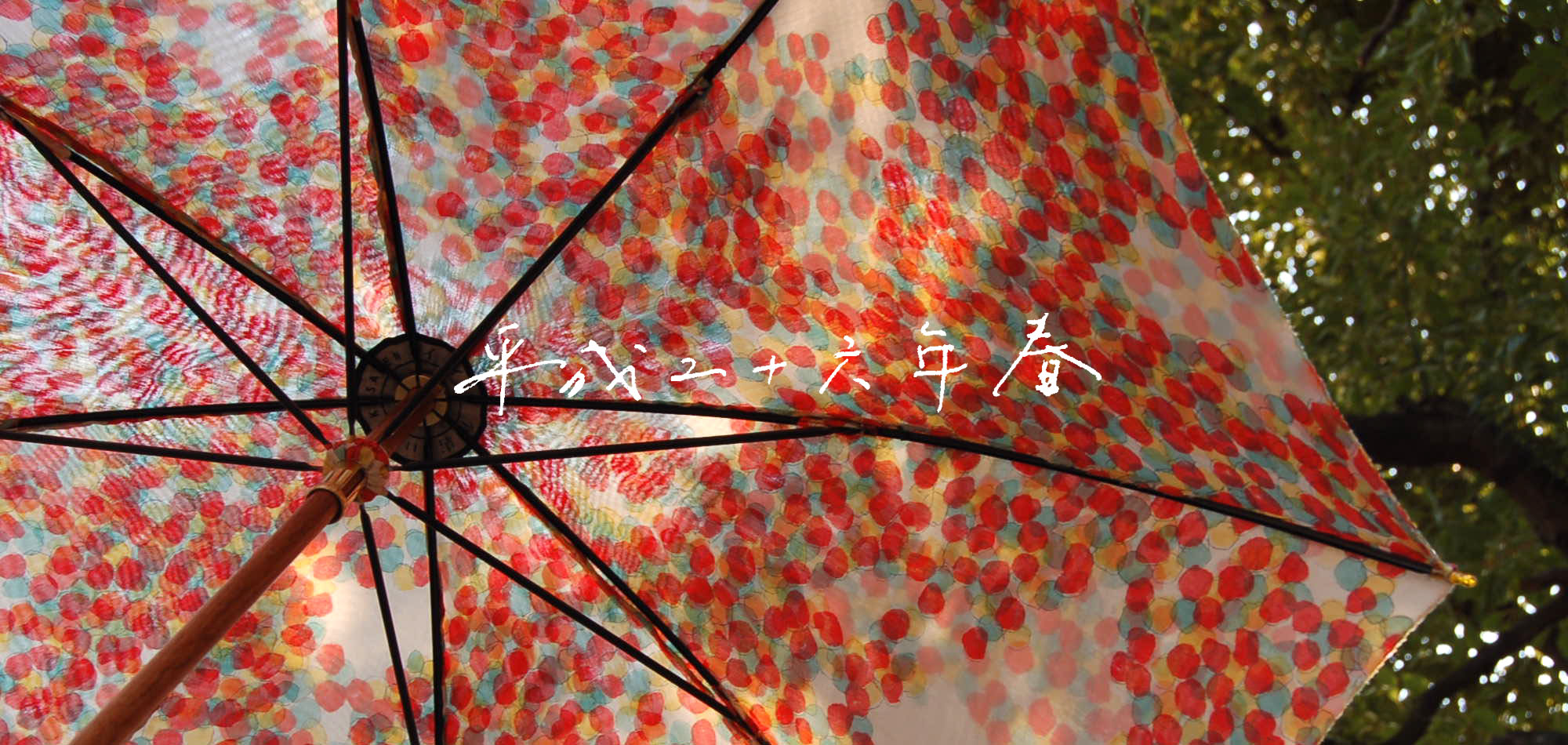 傘 | イイダ傘店